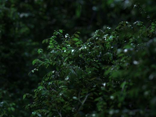 日常练习Cinema 4D+Octane（个人主页-ZNTMwNTUxNjQ=） - 场景 - 站酷设计师潼Visual原创素材 - 站酷ZCOOL