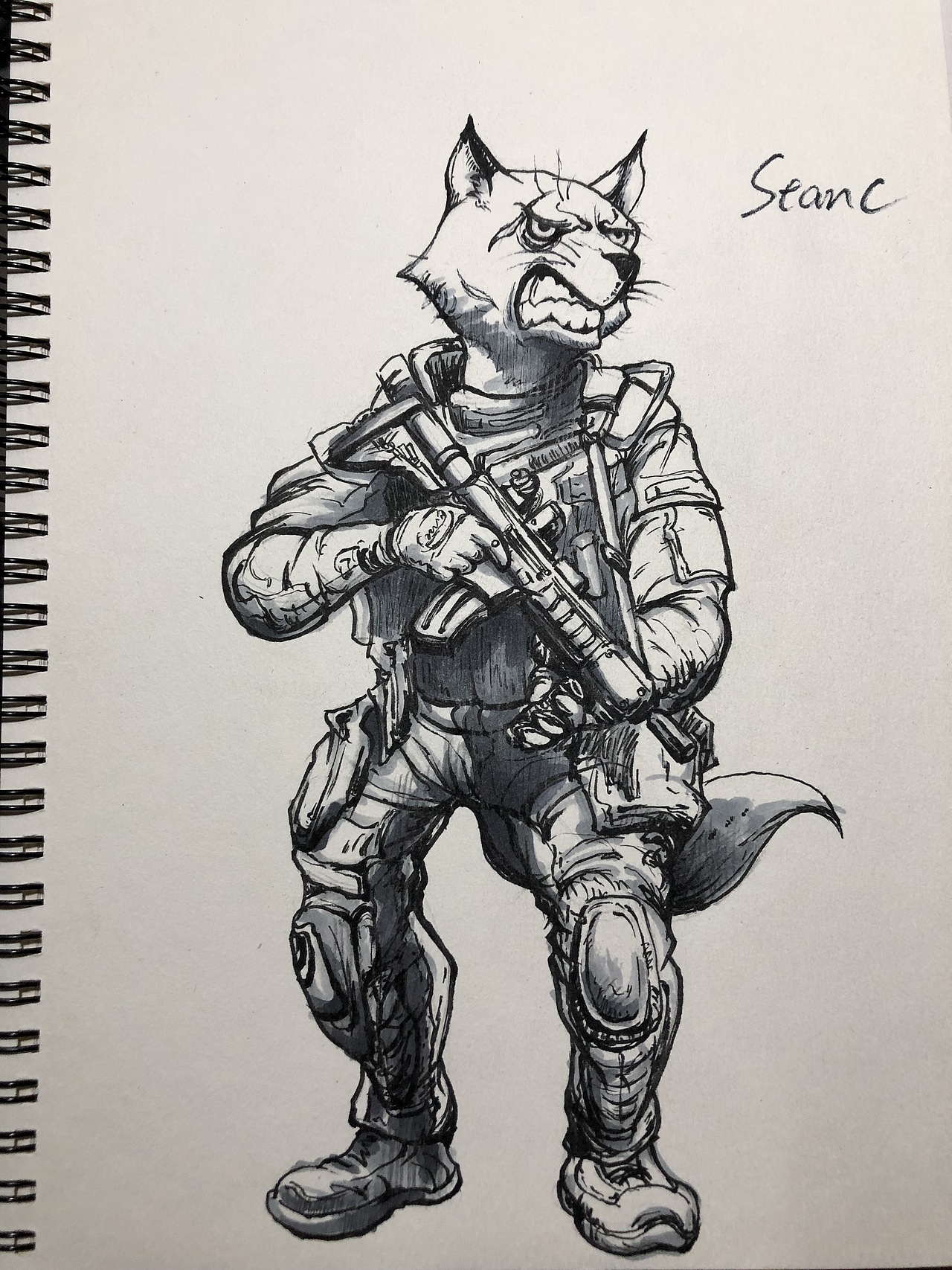 金政基插画临摹练习