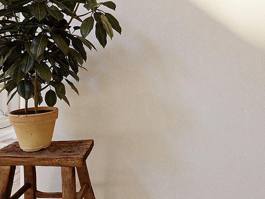 运河外滩 | 小景