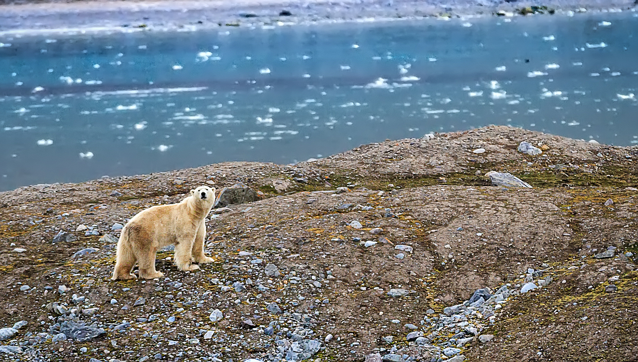 北极之旅作品整理（一）（图ZNTgwMTc3NzI=） - 风光摄影 - 站酷设计师S李想原创素材 - 站酷ZCOOL