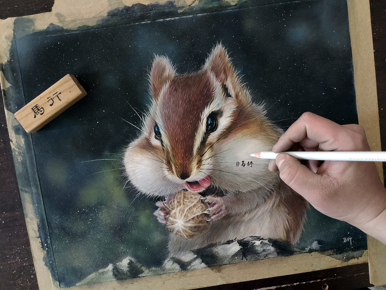 水彩彩铅花栗鼠