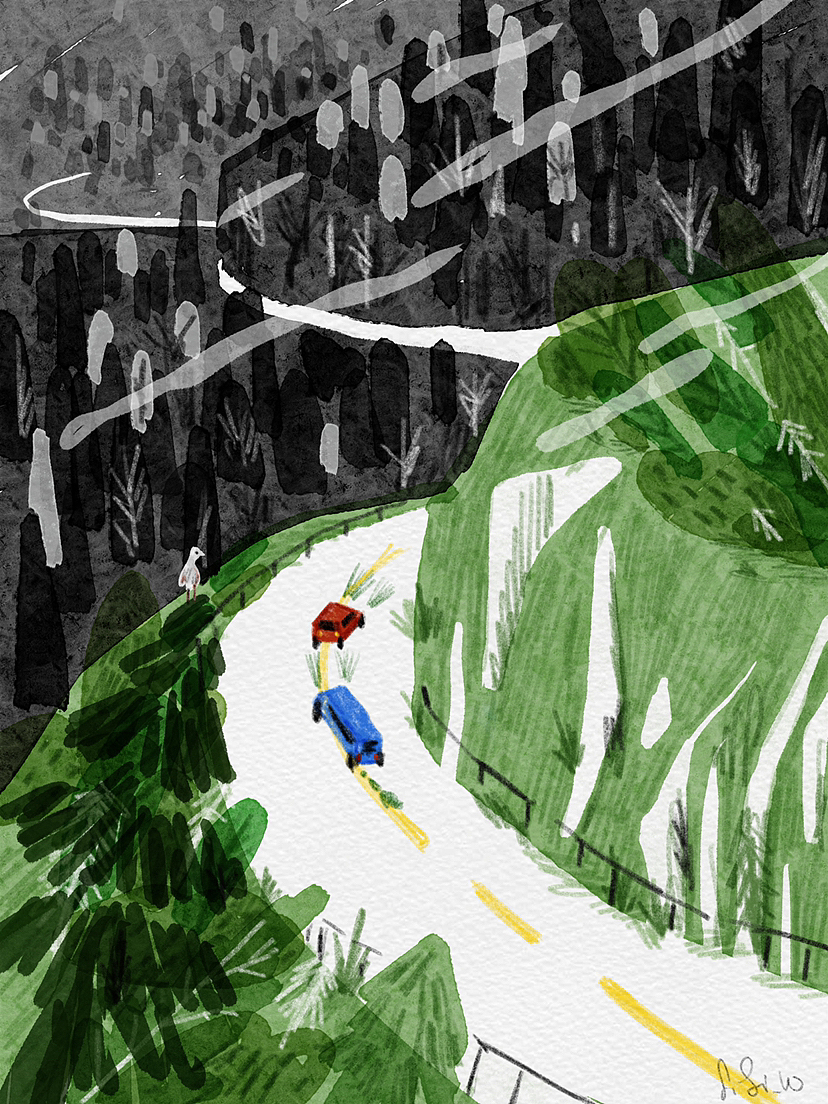 iPad水彩速写练习｜9～10月（图ZMzE5NTkxNjY4） - 创作习作 - 站酷设计师Sisi_W原创素材 - 站酷ZCOOL