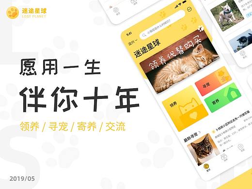 迷途星球 流浪动物领养平台