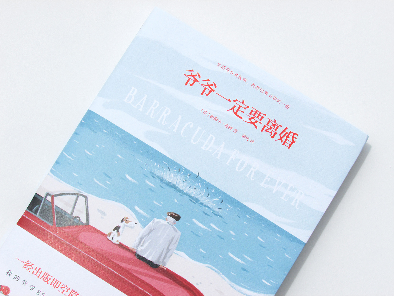 《永远的梭鱼》（图ZMTI3NDU3MDMy） - 商业插画 - 站酷设计师瓜里瓜里瓜里原创素材 - 站酷ZCOOL