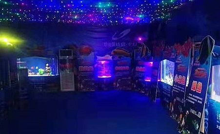 美人鱼表演出租 海洋展租赁（图ZMjU0MzE3MDg4） - 文案/策划 - 站酷设计师taotaowenhua125原创素材 - 站酷ZCOOL