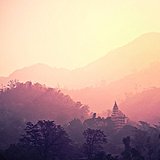 紫木槿的头像