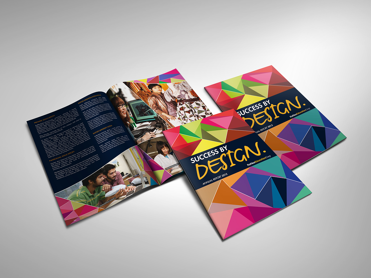 Success by Design Annual Report（图ZMzAyNTQwMzI=） - 书籍/画册 - 站酷设计师rayzong原创素材 - 站酷ZCOOL