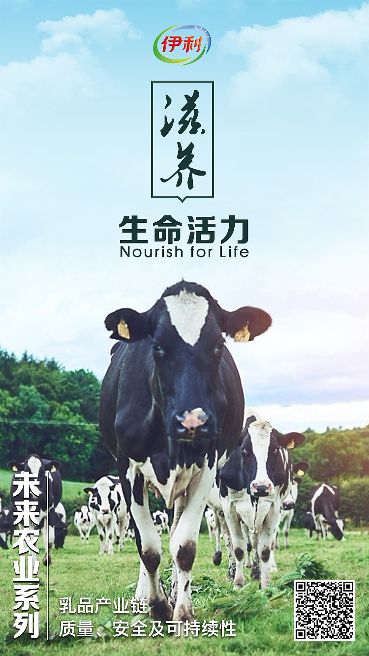 乳业宣传海报（图ZMTM4NTA4ODky） - 宣传物料 - 站酷设计师小深秋原创素材 - 站酷ZCOOL