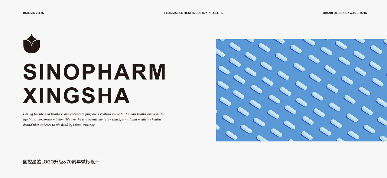 【凭星而来，鲨耀新生 】国控星鲨LOGO及70周年徽标（图ZMjk2NzcwOTcy） - Logo - 站酷设计师机器人王哈哈原创素材 - 站酷ZCOOL