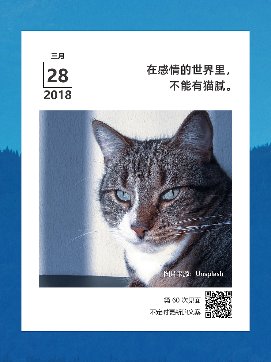 第0007块拼图 | 一生太赶,来不及等你爱我。