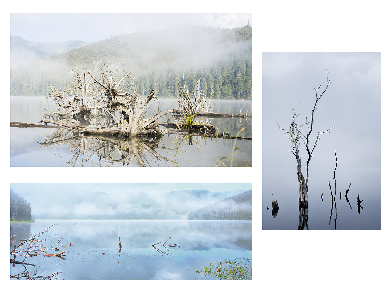 摄影作品集（图ZMTczNjY2ODcy） - 其他摄影 - 站酷设计师top拓扑设计原创素材 - 站酷ZCOOL