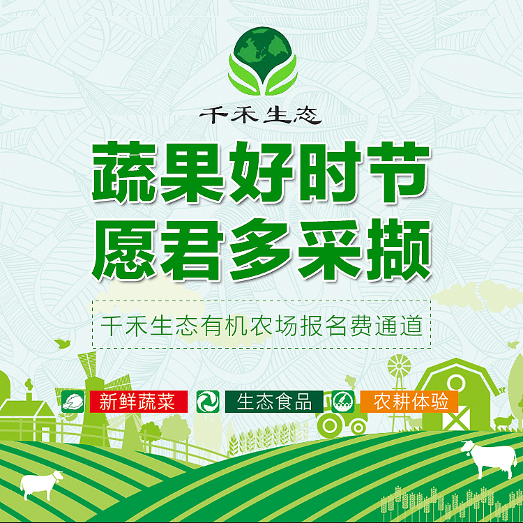 千禾生态平面宣传（图ZMTc2MjQ1Mzgw） - 海报 - 站酷设计师jillwang1250原创素材 - 站酷ZCOOL