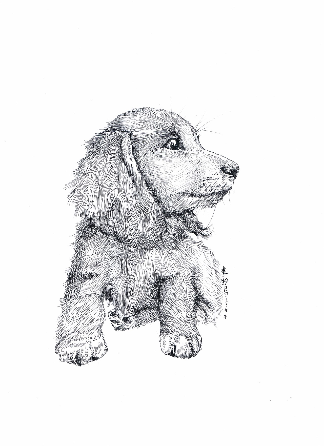 作品集 小狗插画（图ZNzgyNjc2NzI=） - 创作习作 - 站酷设计师匠HEART原创素材 - 站酷ZCOOL