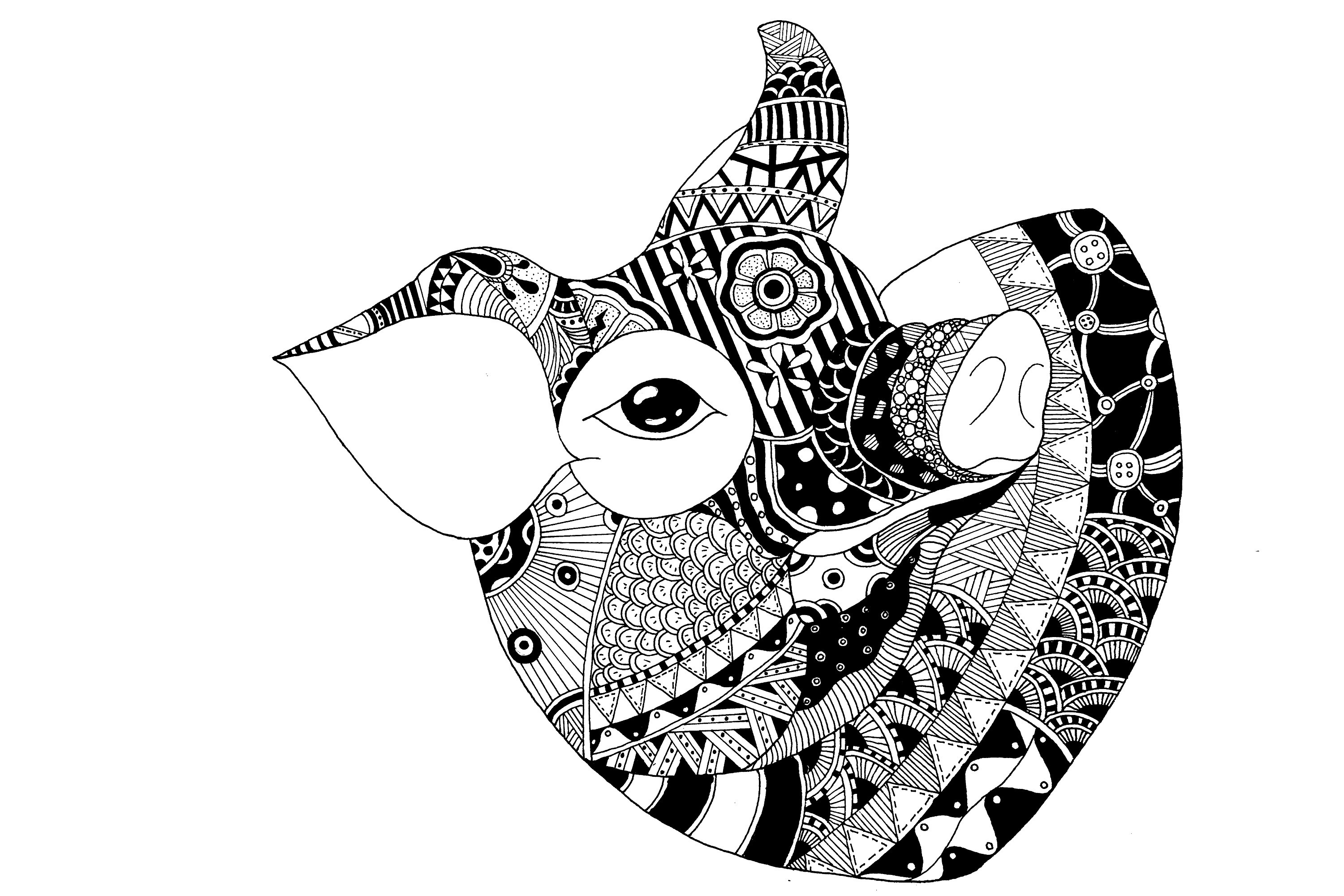 十二生肖-"猪"|插画|商业插画|像风一样的男孩 - 原创作品 - 站酷