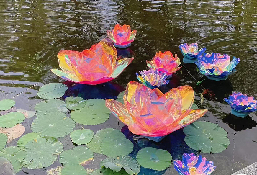 东麟炫彩🌈  炫彩热巴✨