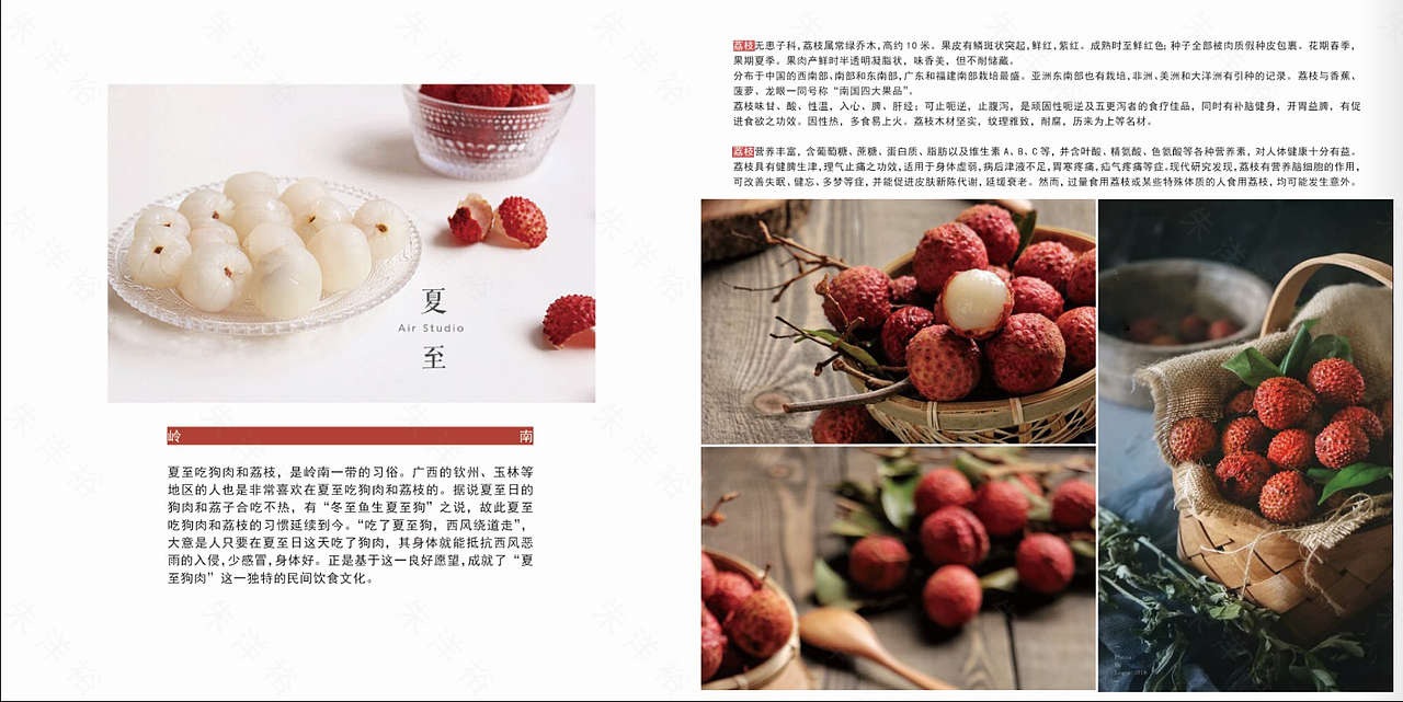 《夏至》型录册子（图ZMjEzMTg5NDI0） - 书籍/画册 - 站酷设计师涣成野原创素材 - 站酷ZCOOL