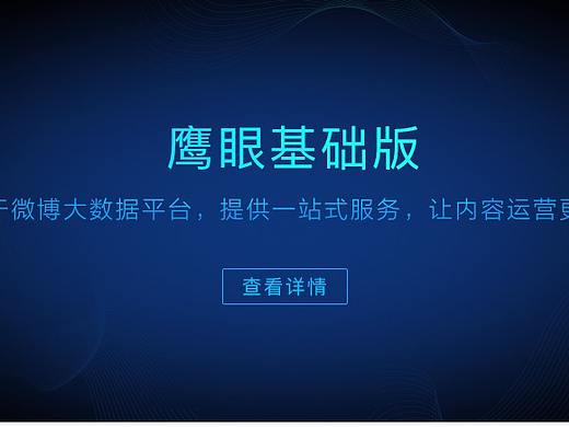 新浪数据平台“鹰眼”