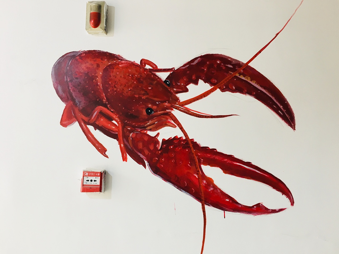 龙虾馆墙绘 朋友们,你们当地墙绘什么价?