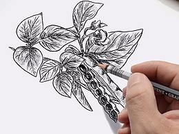 精美插画