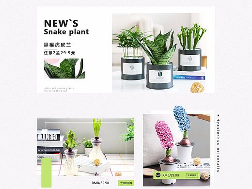植物-电商