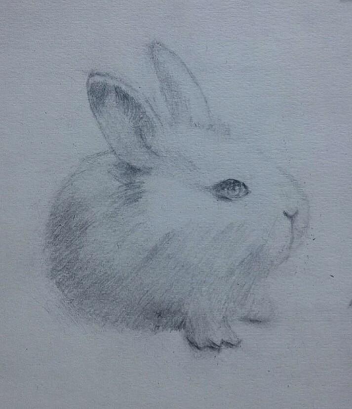 2015手绘作品，2016冲冲冲（图ZNDQ4OTAxNjQ=） - 创作习作 - 站酷设计师boyutuo原创素材 - 站酷ZCOOL