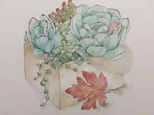 多肉（个人主页-ZMzA5MDM5MzY=） - 图案 - 站酷设计师请把小熊还给我Y原创素材 - 站酷ZCOOL