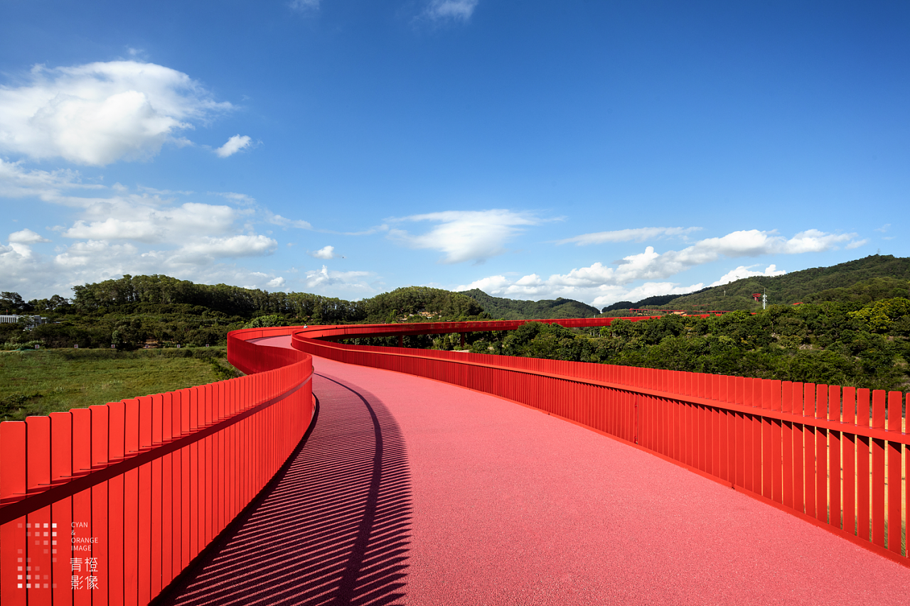 景观摄影 | 光明虹桥公园 ⅹ 青橙影像