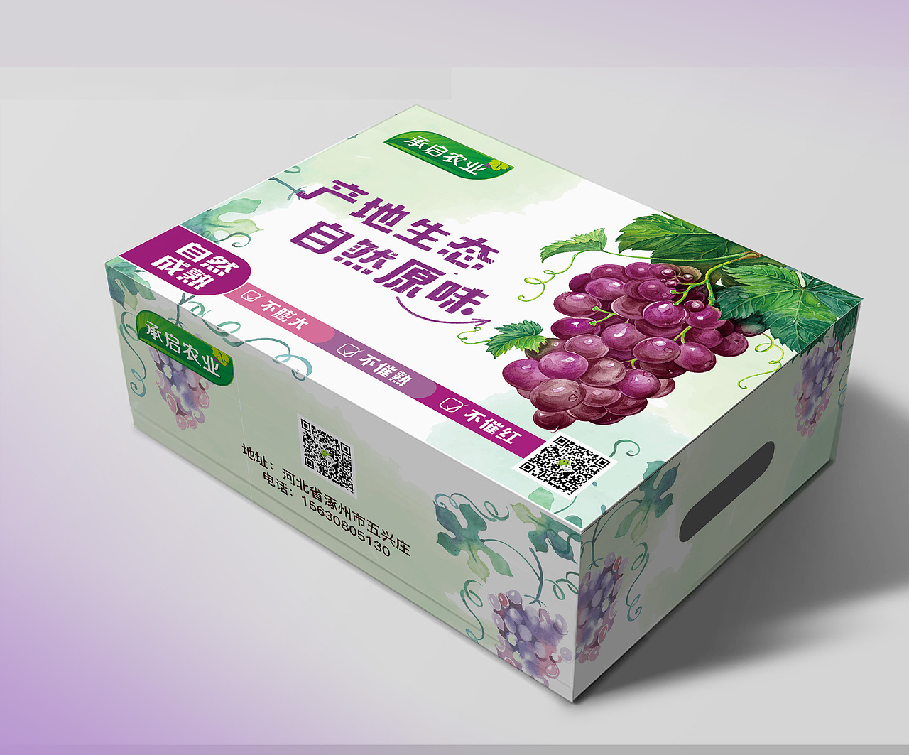 水果企业 葡萄LOGO 包装（图ZODU0Mzg5MzI=） - 包装 - 站酷设计师王萍CY原创素材 - 站酷ZCOOL