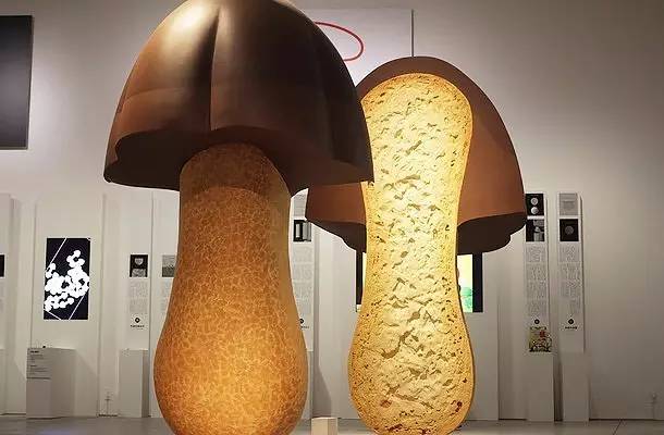 日本设计大师佐藤卓作品探析