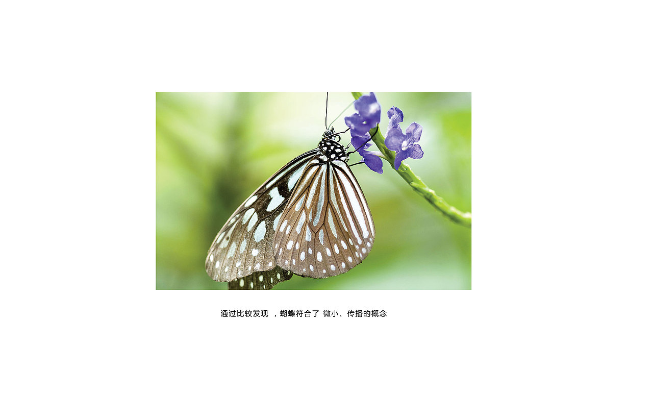 logo 设计