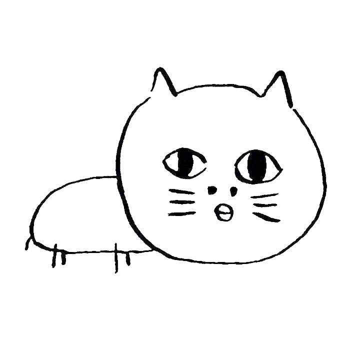 一只猫的嘻哈风