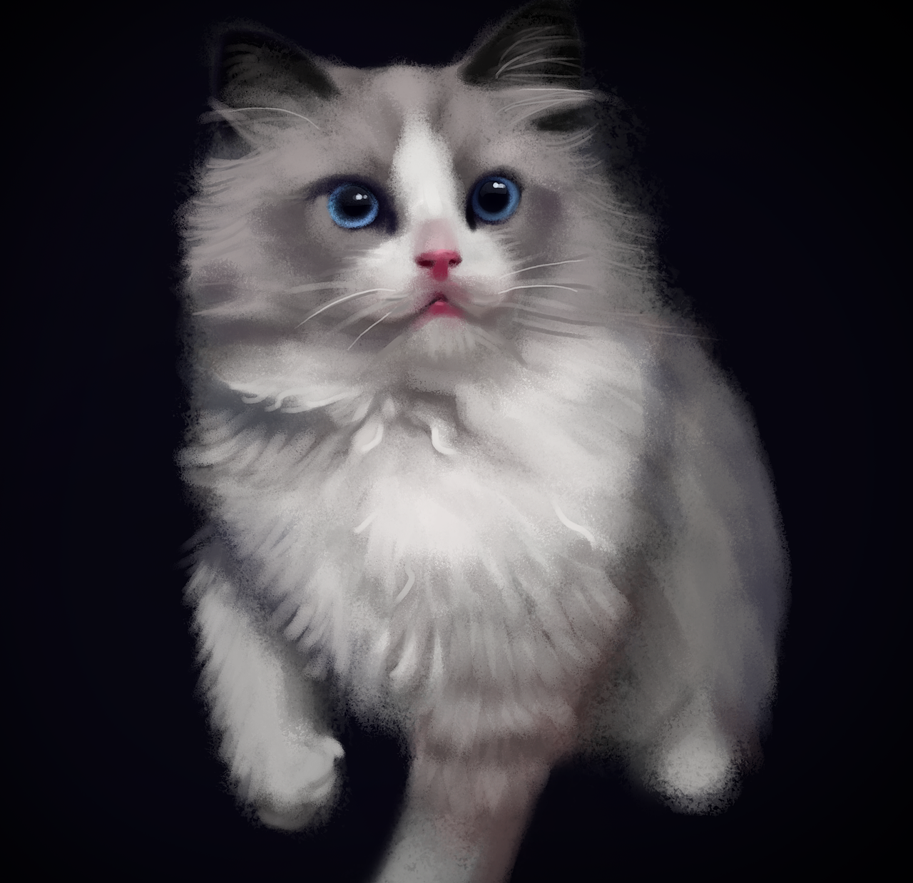 布偶猫（图ZNTc5MTIwODQ=） - 创作习作 - 站酷设计师三水吉喵原创素材 - 站酷ZCOOL