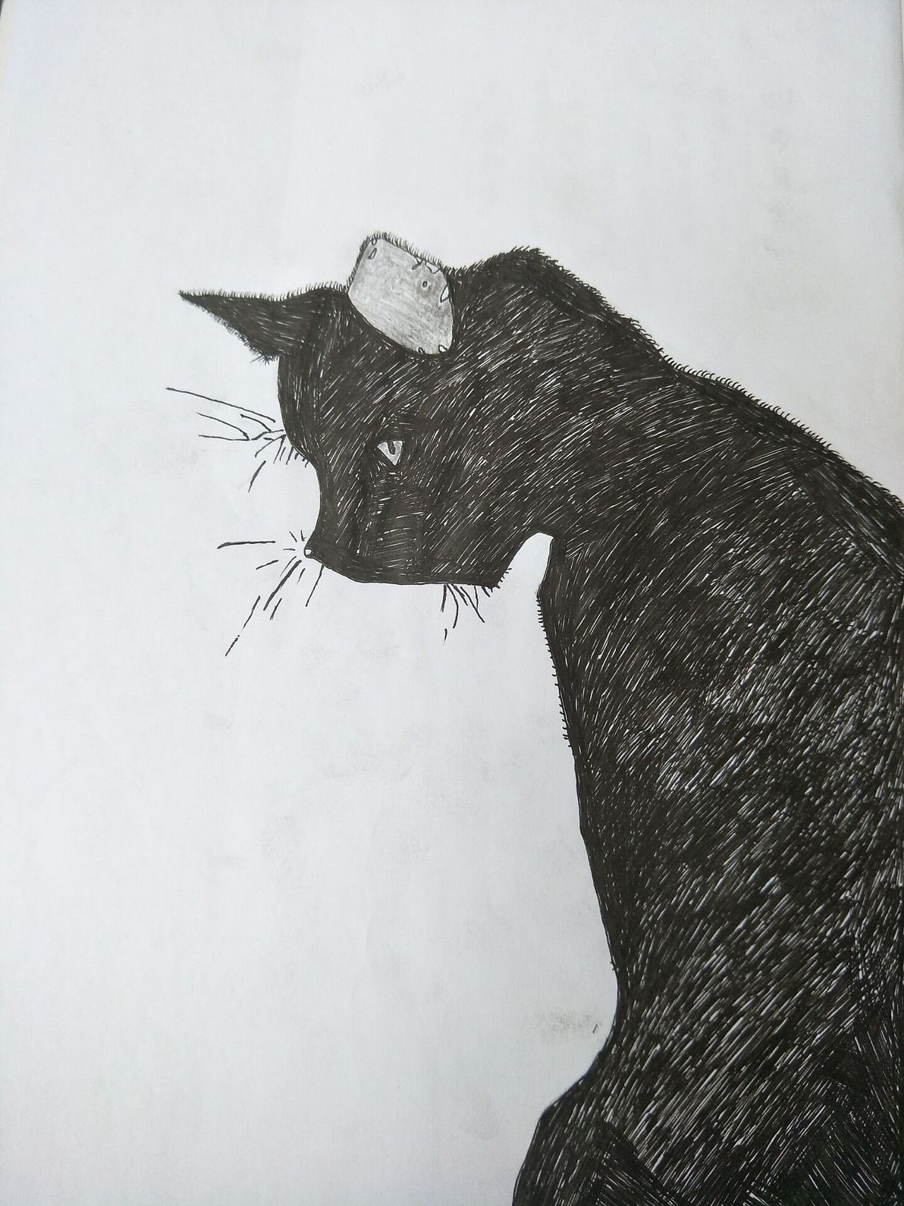 小黑猫（图ZMTA4OTY3NTY0） - 新锐潮流插画 - 站酷设计师墨镜龙喵呱呱原创素材 - 站酷ZCOOL