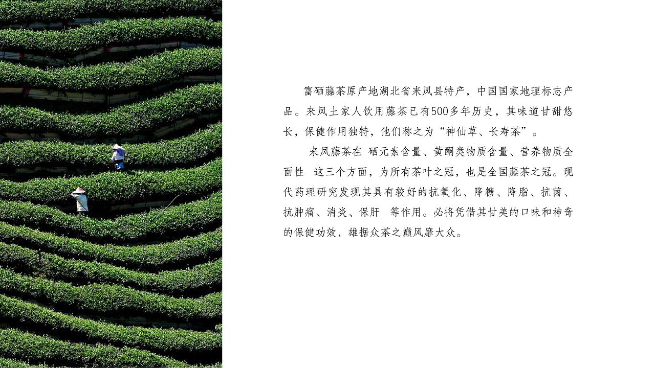 藤茶面膜（图ZMTk3NjU1Nzg4） - 包装 - 站酷设计师一颗摇头晃脑的粽原创素材 - 站酷ZCOOL