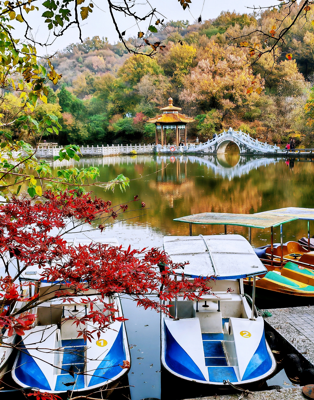 琅琊秋意正浓时（图ZMzgwODIwNTQw） - 风光摄影 - 站酷设计师透明的雨2025原创素材 - 站酷ZCOOL