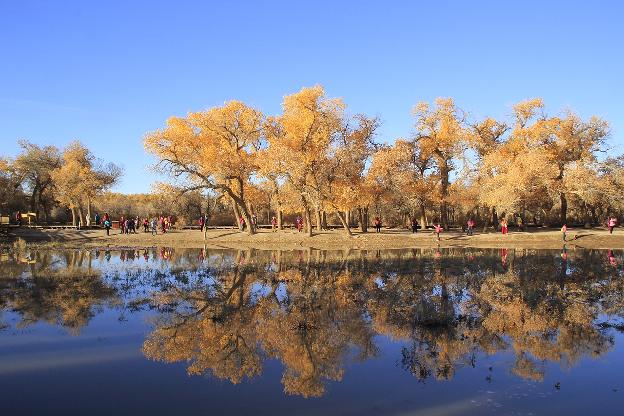 内蒙古额济纳旗