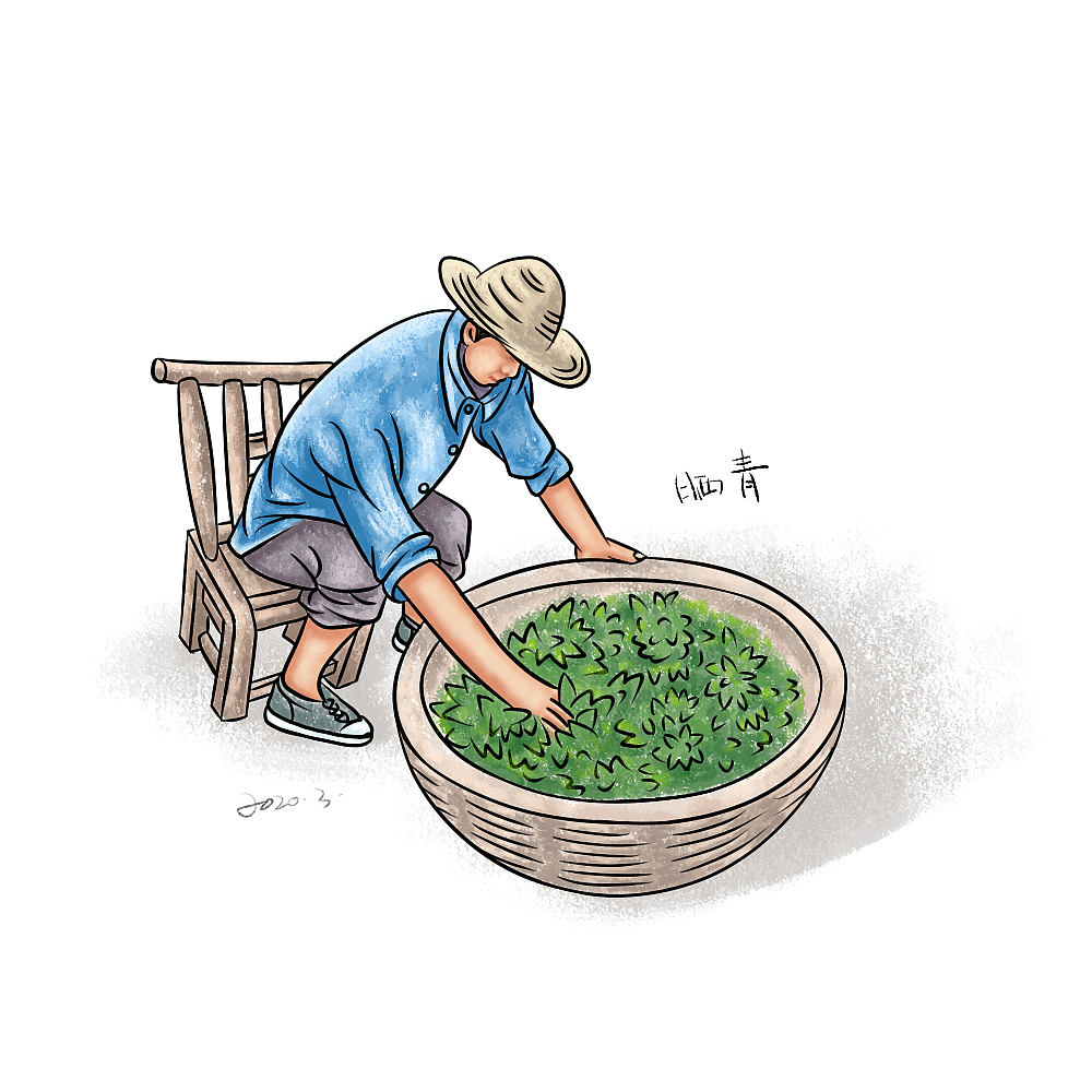 茶文化|插画|商业插画|七十二设_原创作品-站酷zcool