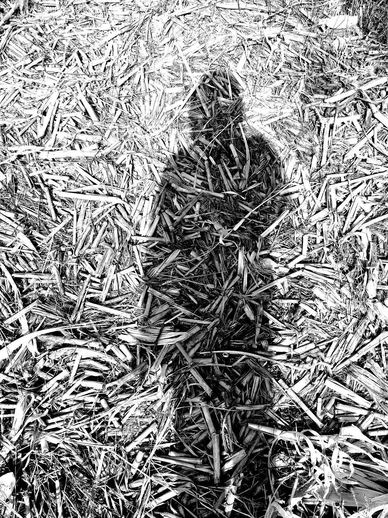 故乡（图ZMzExMjE4NTY=） - 风光摄影 - 站酷设计师王粤飞设计原创素材 - 站酷ZCOOL