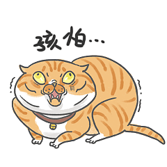 《快乐兽》猫咪搞笑表情包