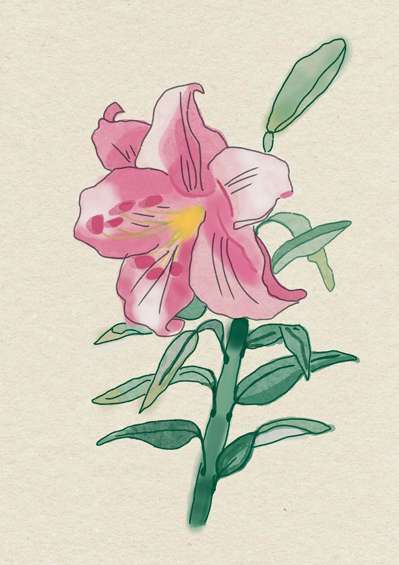 水彩风 插画,藏在夏日里的小清新