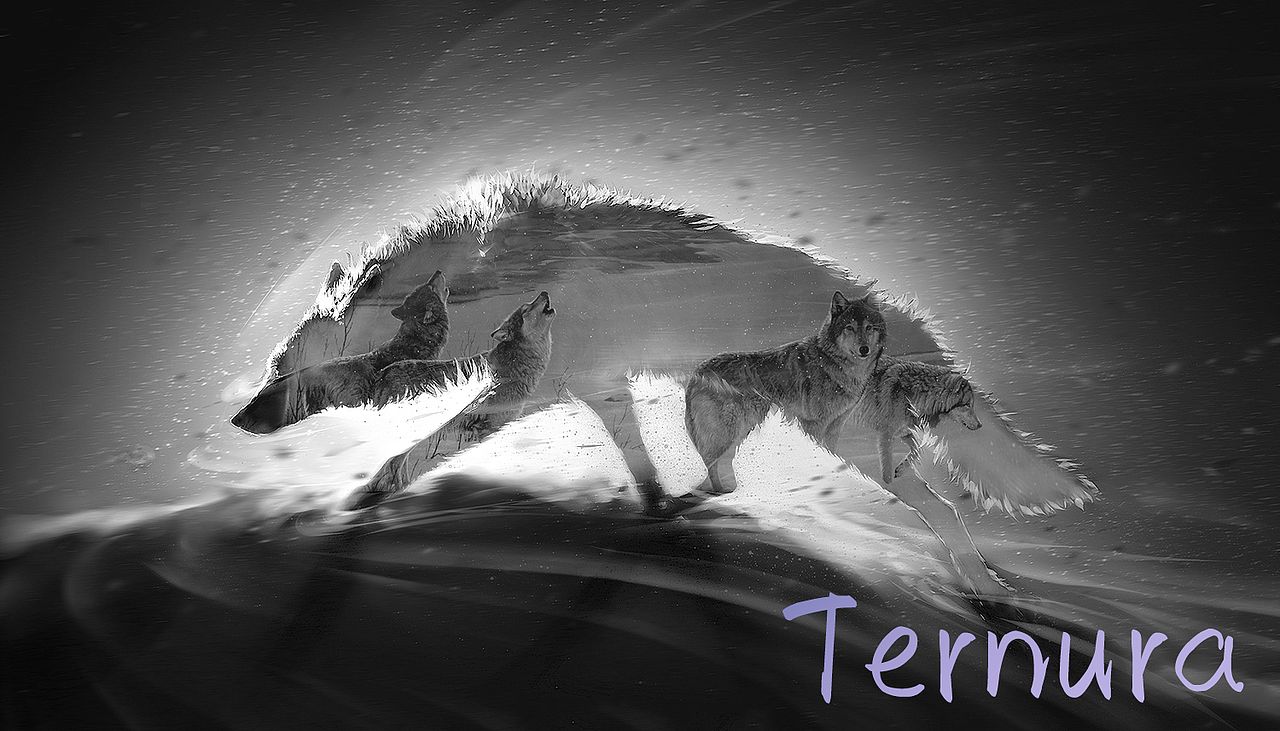 设计练习作品,PS,AI,部分原创