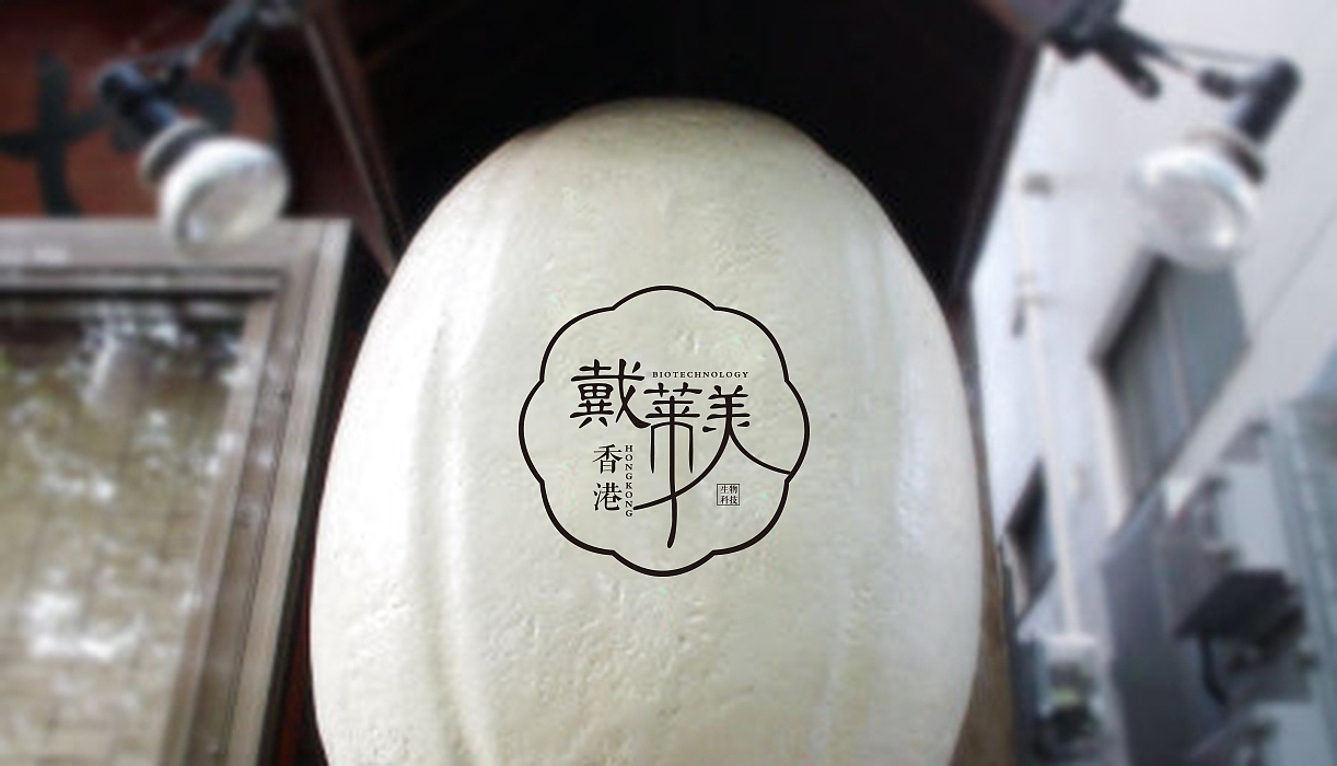戴莱美LOGO 已商用（图ZMjI1MjU3Mjg=） - Logo - 站酷设计师阿狸猫猫原创素材 - 站酷ZCOOL