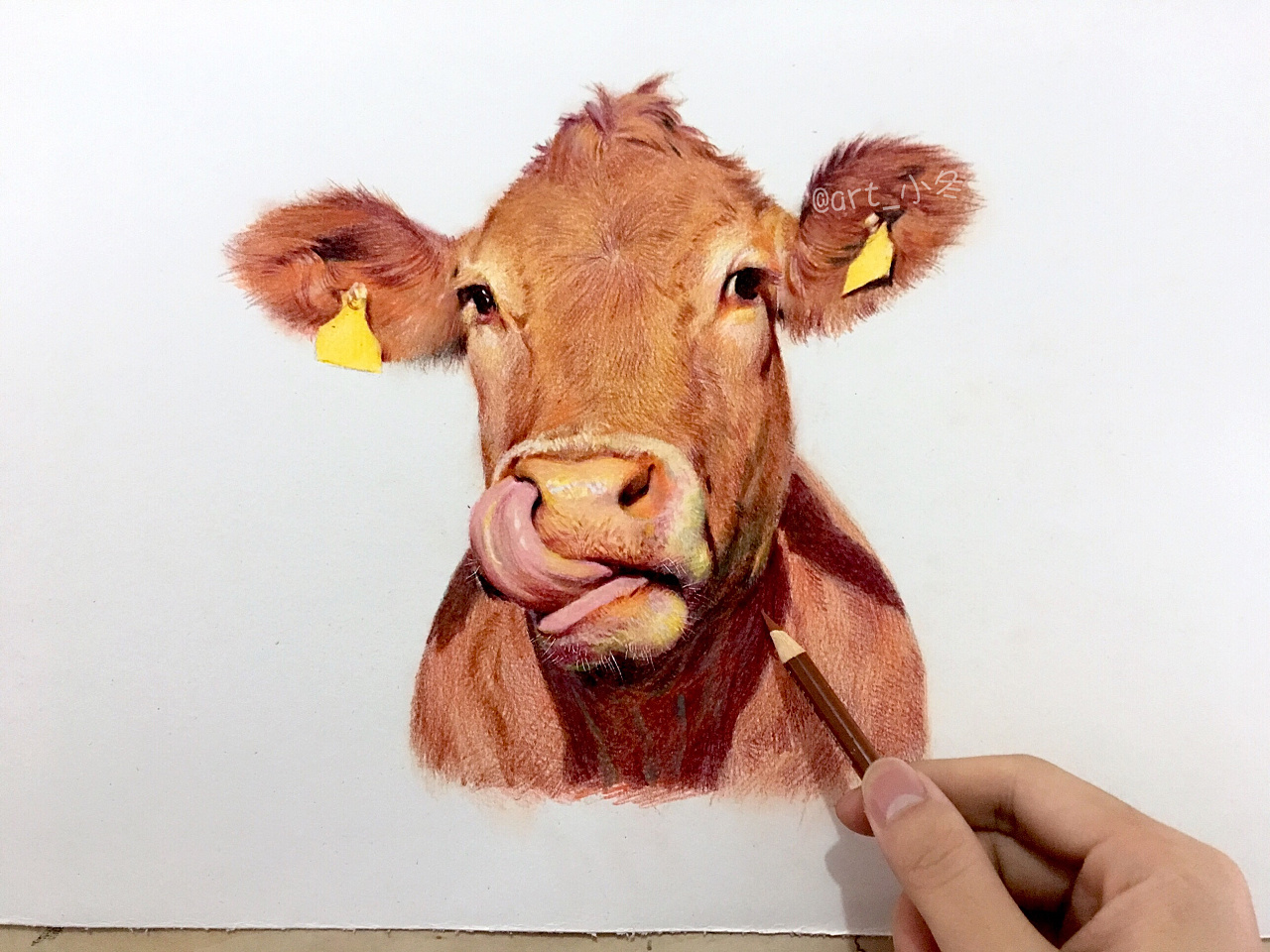 你说牛不牛?|纯艺术|绘画|art_小冬 - 原创作品 - 站酷 (zcool)