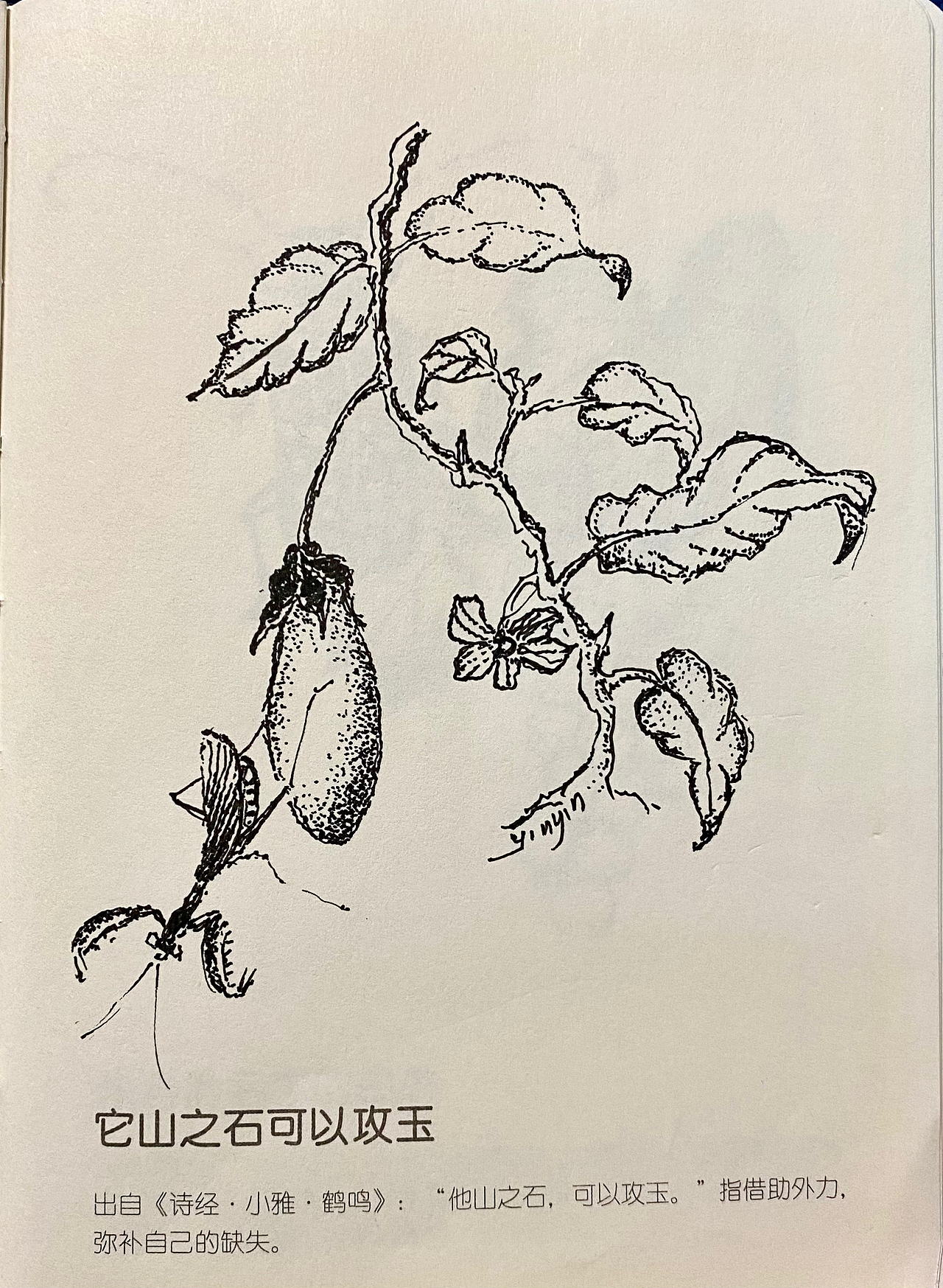 针管笔点绘（图ZMzczNTQ0MDQ4） - 绘画 - 站酷设计师广州茵茵原创素材 - 站酷ZCOOL