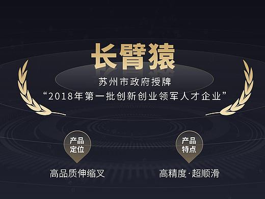 长臂猿 × 艾迪鹅 公司简介PPT