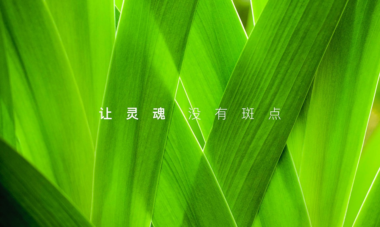 表里如一 纯天然·植物草本精华 LOGO设计