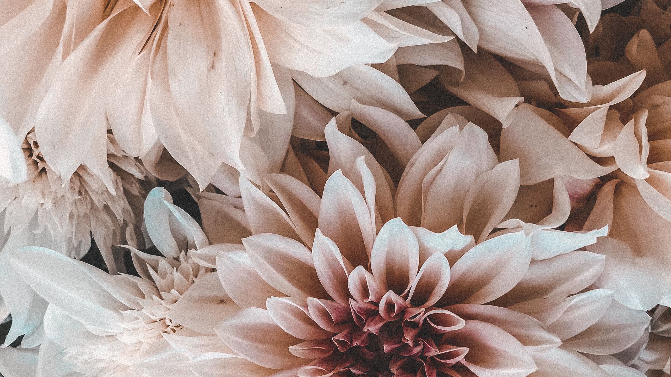 摄影师谢晓安的个人主页（封面预览） - 主页封面设置 - 站酷设计师摄影师谢晓安原创素材 - 站酷ZCOOL