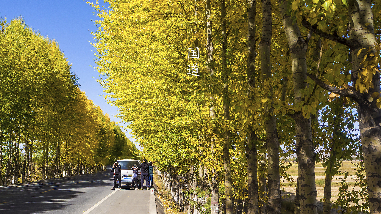 最美国道(去的时候叶子还是绿的,短短5天原路返回时叶子就黄了)
