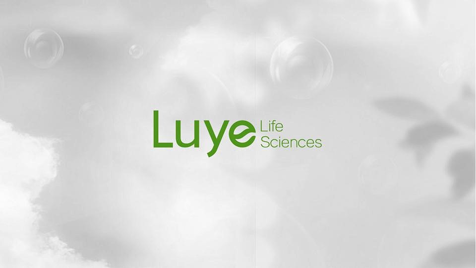 绿叶生命标志修改提案（图ZMjM2MDkwMDg0） - Logo - 站酷设计师许天博原创素材 - 站酷ZCOOL