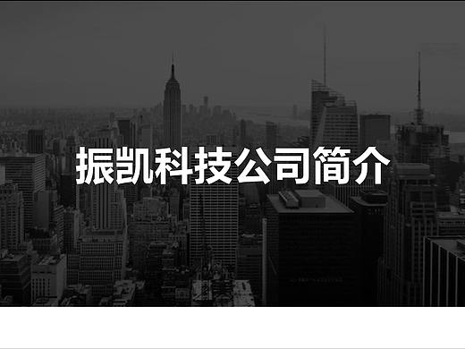 振凯科技公司-高级